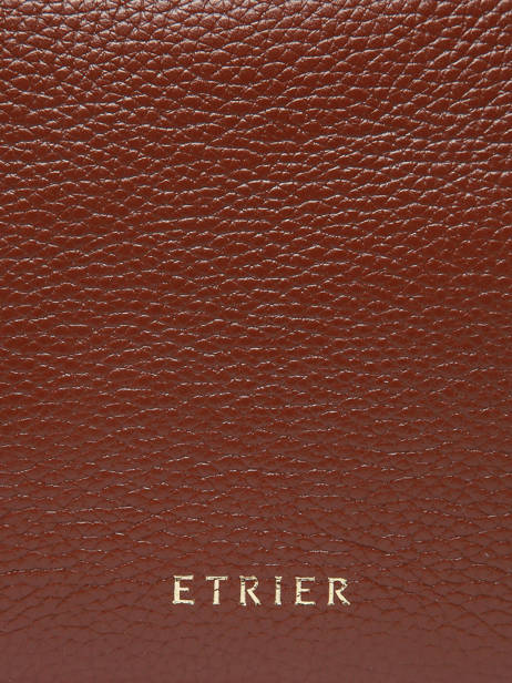 Porte-adresse Tradition Cuir Etrier Marron tradition ETRA901M vue secondaire 3